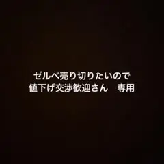 ゼルベ売り切りたいので値下げ交渉歓迎さん　専用