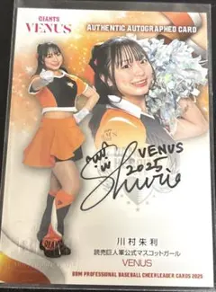 Item thumbnail for item 0687a9ae-4f9d-47c8-95bc-4ae68cf8515b