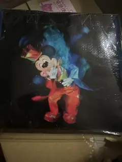 ディズニー　写真集　トートバッグ