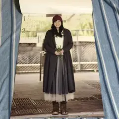 Item thumbnail for item fc18d095-5741-4e0a-ac7e-a5c20dabd8b5