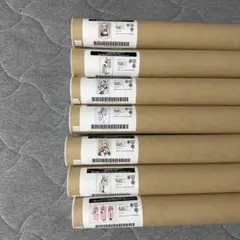 その着せ替え人形は恋をする　ポスターコンプセット