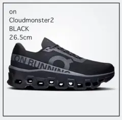 on Cloudmonster2 BLACK 26.5cm