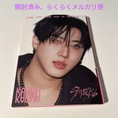 Stray Kids スキズ KARMA アコーディオンver. チャンビン