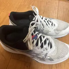 Item thumbnail for item c1e4363a-3a01-44c0-9e6a-b3acd3facb73