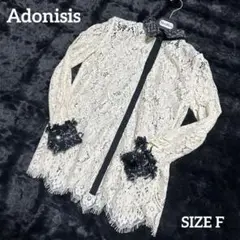 【美品】Adonisis アイボリーレース&ツイード襟&ブラックライン　ブラウス