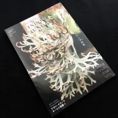 【新品・未開封】インドアジャングル No.02 4月号増刊　ビカクシダ特集 WEB限定お買い得商品の新着アイテム 絶版】インドアジャングル