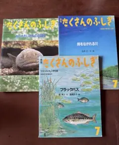 福音館書店　たくさんのふしぎ 3冊セット
