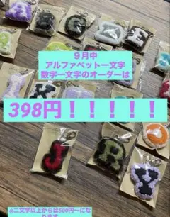 ９月中値下げします　ハンドメイド　パンチニードル　キーホルダー　オーダーメイド