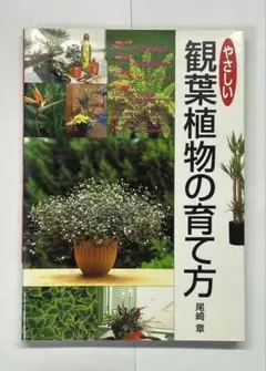 やさしい観葉植物の育て方