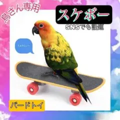 鳥のおもちゃ スケートボード バードトイ おもちゃ 知育 小鳥 インコ