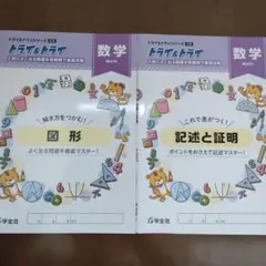 トライ&トライ 数学 図形・記述と証明　2冊セット