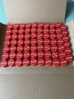 ペットボトルキャップ 69個 ①