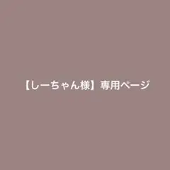 【しーちゃん様】専用ページ