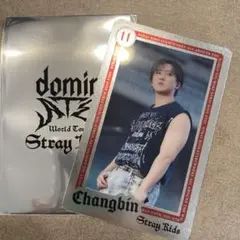 straykids スキズ ランダムライブフォトカード チャンビン
