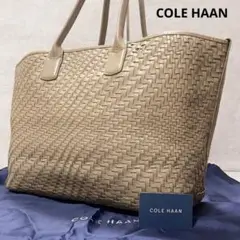 極美品✨コールハーン トートバッグ ビジネスバッグ 大容量 A4収納 希少カラー