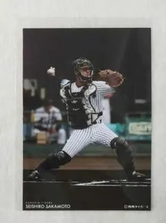 阪神タイガース☆坂本誠志郎☆ブロマイド☆写真☆ラッフル☆くじ☆G賞☆新品