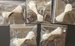 ホワイト フラワーワイヤーステム 5束