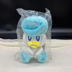 ポケットモンスター ALL STAR COLLECTION S クワッス