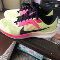 ナイキ ペガサス 40 プレミアム "エキデン"NIKE40 PRM