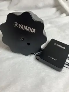 Item thumbnail for item f0988769-ddf4-4b49-bf3f-4ad07ac7f5b5