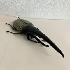 ヘラクレスオオカブト　フィギュア
