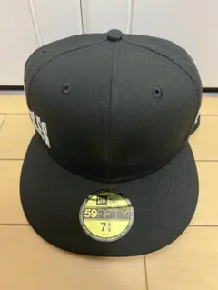 Item thumbnail for item 0dc5b689-f1f8-471c-8945-e204d02748b8