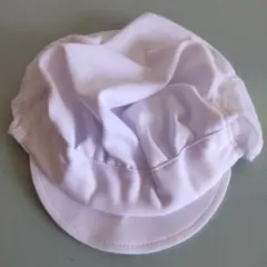 Item thumbnail for item ee6bb2b6-39cc-43c4-9684-a57875984df2