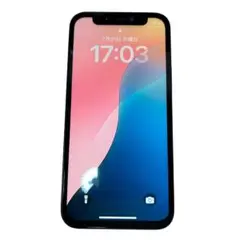 Apple iPhone 12 mini 256GB ブラック 本体 ジャンク