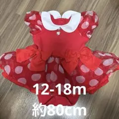 Disney ミニー　ディズニー