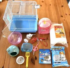 Item thumbnail for item d7ede733-150b-4a68-87ff-5938b28edec4