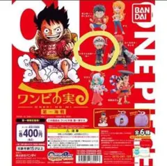 ワンピの実　第一海戦　トラファルガー・ロー