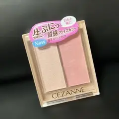 Item thumbnail for item fe40a36e-b60d-4d28-b739-e8ab5e5138e2