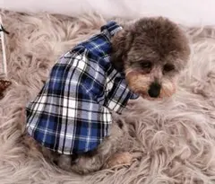 チェック柄 ワンちゃん 服 小型犬 ブルー かわいい♡