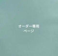 オーダー専用ページです。