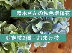 2025年最新】鬼木 紫陽花の人気アイテム - メルカリ