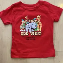 ブロンクスズー ベビーTシャツ(12ヶ月)RABBIT SKINS