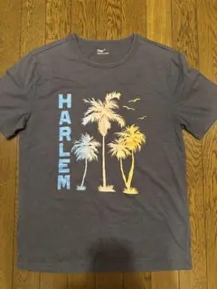 涼しげな　Gap HARLEM Tシャツ Mサイズ