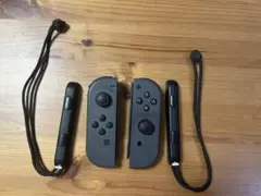 Nintendo Switch Joy-Conコントローラー ブラック