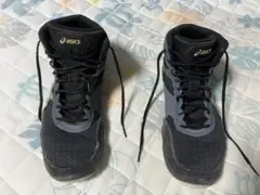 asics アシックス ボクシング レスリングシューズ cael V7.0 28