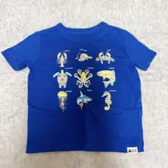 【匿名配送】【美品】GAP Tシャツ 魚 海 90サイズ ブルー