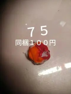 マグネット