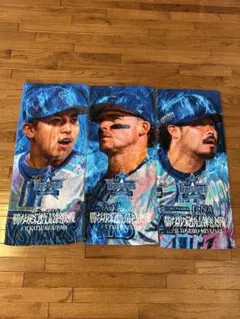 激レア！横浜DeNAベイスターズ 日本シリーズ記念タオル3枚セット