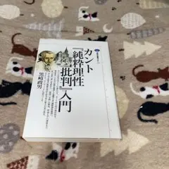 カント『純粋理性批判』入門