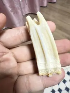 Item thumbnail for item a493bf52-48ff-4a55-bd81-fbe081bdf9e9