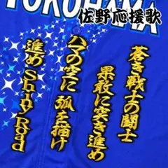 佐野 応援歌 2020 金/黒 刺繍 ワッペン 横浜 DeNA ベイスターズ