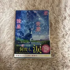君のいない世界に、あの日の流星が降る