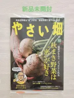 *やさい畑*最新号*2025年10月号*