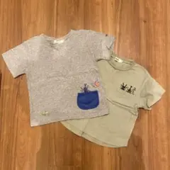 昆虫Tシャツ2枚セット　110
