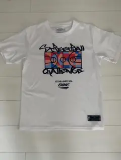 Item thumbnail for item 59d537f4-a929-4346-a9a1-e9f0b97b9fa5