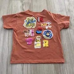 ベビーザらス パウパトロール Tシャツ 100